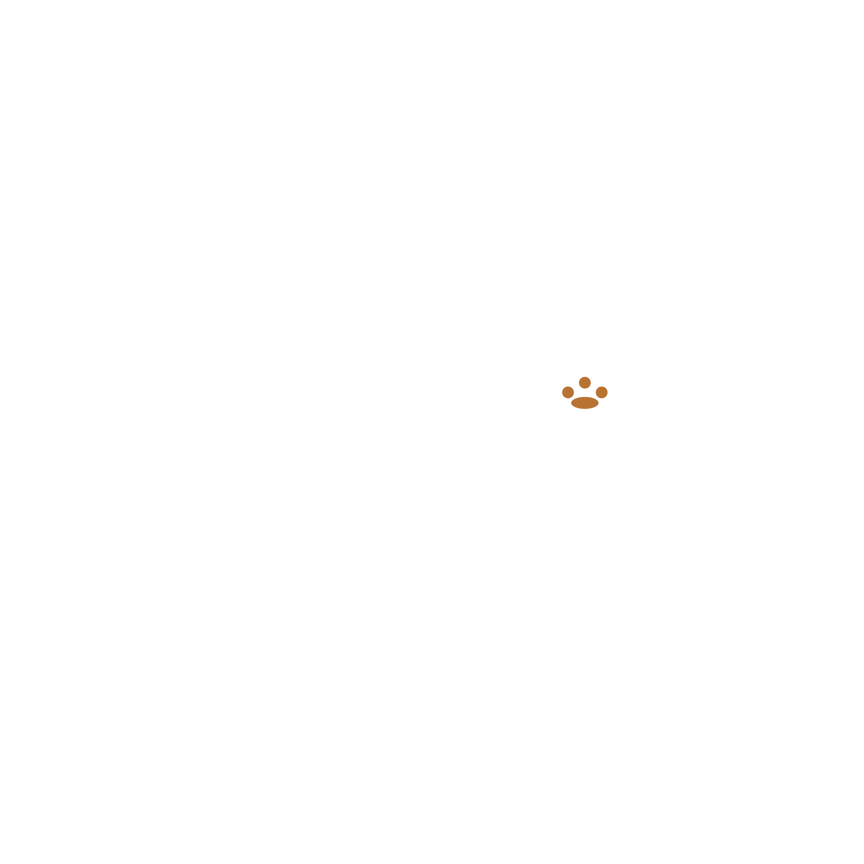Sortie